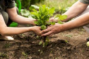 UPA Comunitat Valenciana anima a los jóvenes agricultores y ganaderos a participar en el programa formativo “Cultiva”