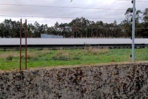 Alertan en Castellón del posible cierre de la única granja peletera