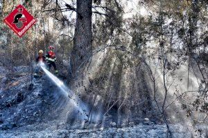 Extingit: Sense flama l'incendi de Montixelvo després de 13 dies i amb 2.500 hectàrees calcinades