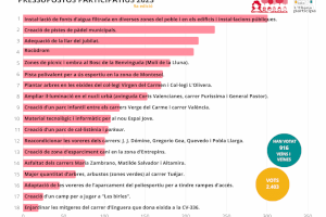 La IX edición de los Presupuestos Participativos bate todos los records