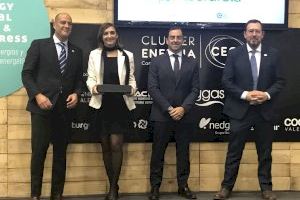 Iberdrola, con cuatro proyectos de fotovoltaicas en la C.Valenciana, premiada por el impulso a las energías renovables