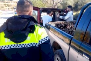 L'Ajuntament de Sant Jordi disposa d'un operatiu de seguretat per terra i aire per a evitar robatoris en els camps