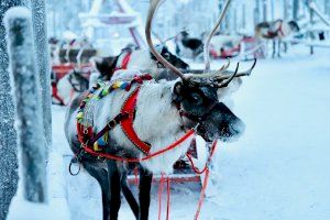 Destinos a los que viajar en diciembre