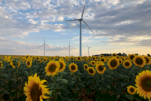 Iberdrola repotenciará sus primeros cuatro parques eólicos en España y elevará su producción un 30%