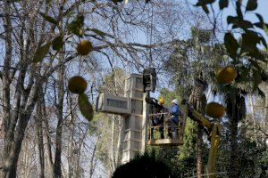 La Audiencia Provincial remite a la jurisdicción contencioso-administrativa la retirada de la Cruz del Parque Ribalta