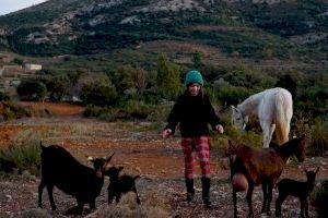 VIDEO | La Diputació de Castelló premia la creativitat i la màgia dels guanyadors del concurs provincial de postals