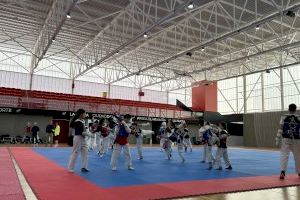 La Nucía alberga el I Costa Blanca Training Camp de Taekwondo