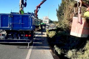 Cortado el acceso de la N-332 a Levante desde l’Alfàs del Pi y Altea por trabajos de poda de la Unidad de Carreteras