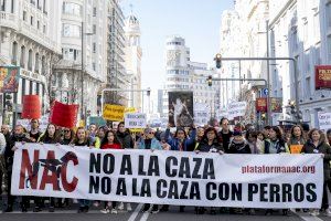 Alicante, Castellón y Valencia acogen manifestaciones para que los perros se incluyan en la ley de bienestar animal