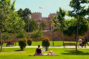 La Concejalía de Educación inicia el programa ‘València, que te quiero verde’ en los centros educativos de la ciudad