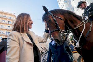 Catalá destaca “el arraigo” y “la vocación animalista” que representa la festividad de San Antonio Abab