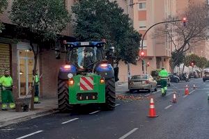 Parques y Jardines inicia la retirada de naranjas de los 9.000 naranjos ornamentales de la ciudad