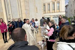 La bendición de animales de “Sant Antoni” se celebró ayer por la mañana