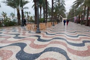 Alicante recupera las sillas de la Explanada tras las obras de peatonalización del fondo de saco