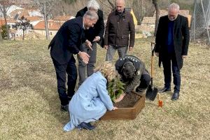 La UMH entrega un esqueje de la higuera de Miguel Hernández al Museo Paleontológico de Castilla-La Mancha