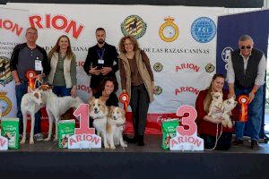 Éxito de participación en el ‘I Concurso Nacional Canino Ciutat de Torrent’