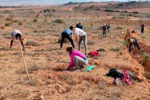 Alumnos de la Escuela Félix Jiménez de Requena participan en el proyecto ‘Semillas para la esperanza’ de la asociación Reforesta