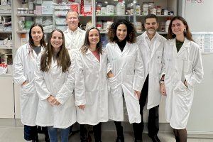 Un equipo de investigadores valencianos dan un paso hacia la curación de la ceguera por diabetes y degeneración macular
