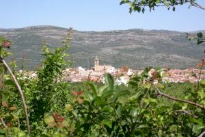 Denuncian que un pueblo de Castellón pierde miles de litros de agua al día en plena emergencia por la sequía