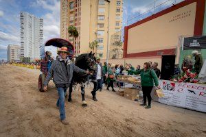 La playa de La Pobla de Farnals se prepara para la celebración de San Antonio de la Mar