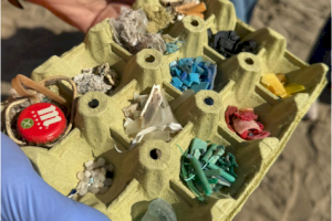 Más de 300 personas voluntarias de la ONG Xaloc liberan la playa de la Patacona de los plásticos y microplásticos