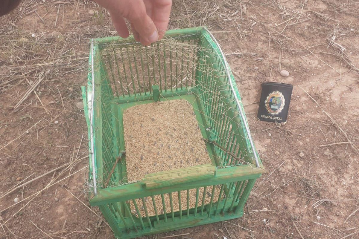 Cazadores furtivos en el río Mijares: Los Guardas Rurales encuentran todo tipo de artefactos