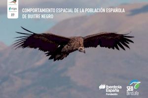 Investigadores de la UA realizan el estudio más detallado hasta ahora sobre los movimientos de la población española de buitre negro