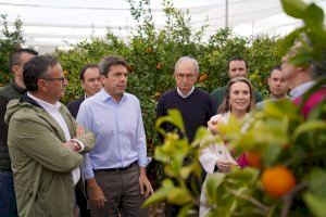 Mazón: "Defenderemos las reivindicaciones de nuestros agricultores ante la dejadez del gobierno central"