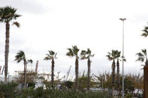 Descenso térmico y aviso amarillo por fuerte viento en la Comunitat Valenciana este viernes