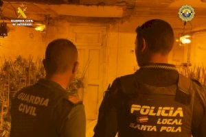 Desmantelada una plantación de marihuana tipo indoor en Santa Pola y detenidos sus responsables