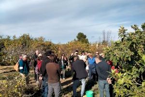 Mucho interés por el curso sobre manejo de injerto en frutales y cítricos, que copa todas las plazas ofertadas