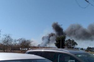 Se declara un incendio de vegetación junto a la Ciudad del Transporte de Castellón