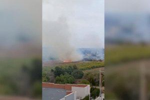 VIDEO | Incendio de vegetación junto al colegio Hortolans de Burriana
