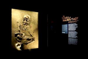 El MARQ inaugura su nueva exposición internacional sobre los primeros reinos de la Europa Prehistórica