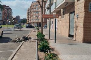 La calle Periodista Azzati de Sagunto se somete a trabajos de jardinería para mejorar la biodiversidad en la zona