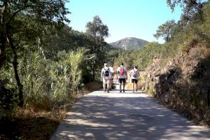 Aumento de las temperaturas este viernes en la Comunitat Valenciana