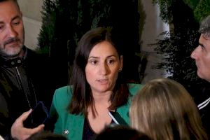 Valía (PSOE): "Catalá desmantella la Capitalitat Verda i renúncia al fet que València siga una ciutat inspiradora"