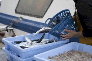 VIDEO | Castellón reivindica su pescado como símbolo de identidad
