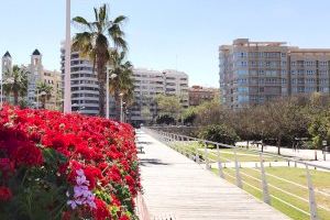 ¿Cómo afecta la primavera al estado de ánimo?