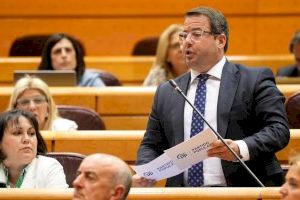 El PP de Alicante pide al Gobierno un nuevo programa del Imserso para evitar “su ruina”