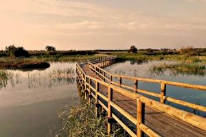 Cocemfe presenta un informe para mejorar la accesibilidad de siete parques naturales valencianos