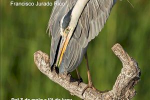 Llega la exposición fotográfica Natura a Sagunto