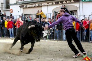 La federació de bous al carrer desafia al Ministre de Cultura per eliminar el premi nacional de tauromàquia