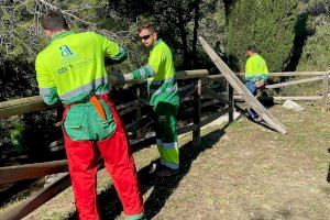 La Diputación ayuda a los municipios más pequeños a conservar sus espacios verdes con 700.000 euros