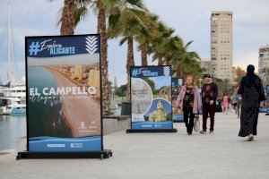 El Campello se promociona en el Paseo de los Mártires de la capital alicantina