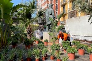 Castellón mejora la plaza de la Paz sustituyendo el césped artificial por natural y plantará en torno a 500 flores de temporada