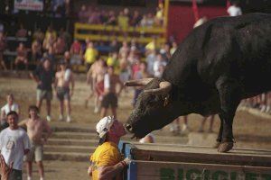 Els Penyes en Festes de la Vall d'Uixó: Tots els espectacles taurins de 2024