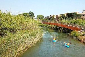 La Generalitat 'desescaña' centenars d'hectàrees al Túria per a atallar la major plaga al parc natural