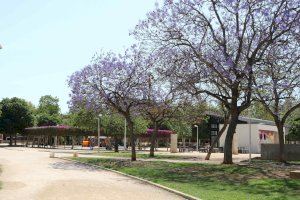 Más de 800 árboles han sido apadrinados por jóvenes a través del programa Arrela't a Catarroja