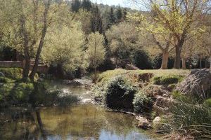 El Jardí Botànic de la Universitat de València participa en la IV edición de la Biomaratón de la Flora Española